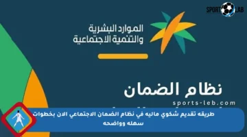 طريقة تقديم شكوى مالية في نظام الضمان الاجتماعي الآن بخطوات سهلة وواضحة